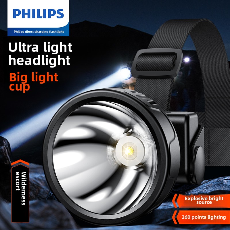 PHILIPS SFL1342 LED Headlamp S - огляд і ціна Outdoor Lighting Philips
