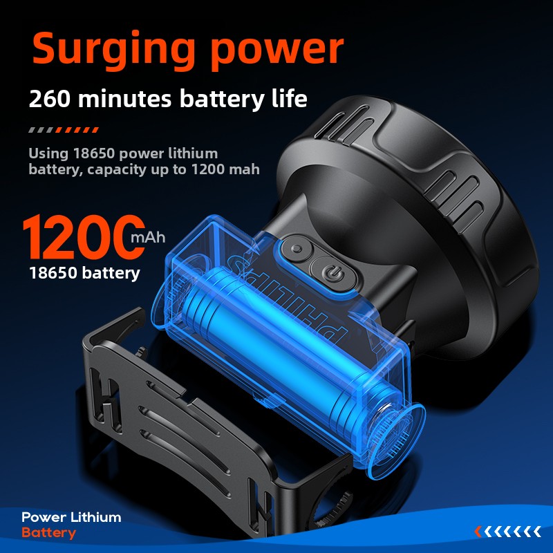 PHILIPS SFL1342 LED Headlamp S - огляд і ціна Outdoor Lighting Philips