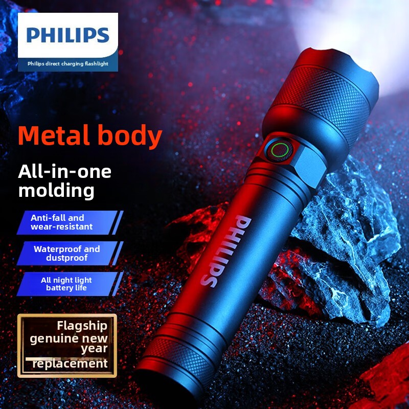 2025 NEW Philips SFL2188 LED A - огляд і ціна Outdoor Lighting Philips