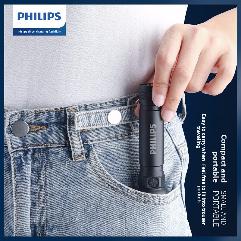 2025 NEW Philips SFL2188 LED A - огляд і ціна Outdoor Lighting Philips