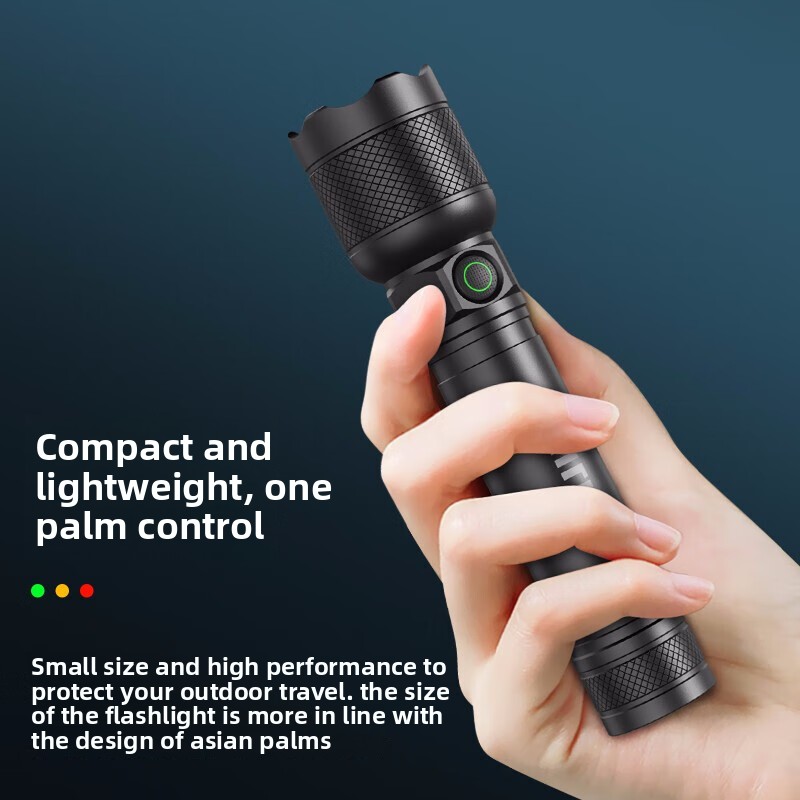 2025 NEW Philips SFL2188 LED A - огляд і ціна Outdoor Lighting Philips