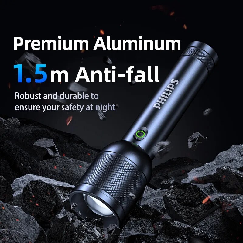 PHILIPS SFL8168 Handheld LED T - огляд і ціна Outdoor Lighting Philips