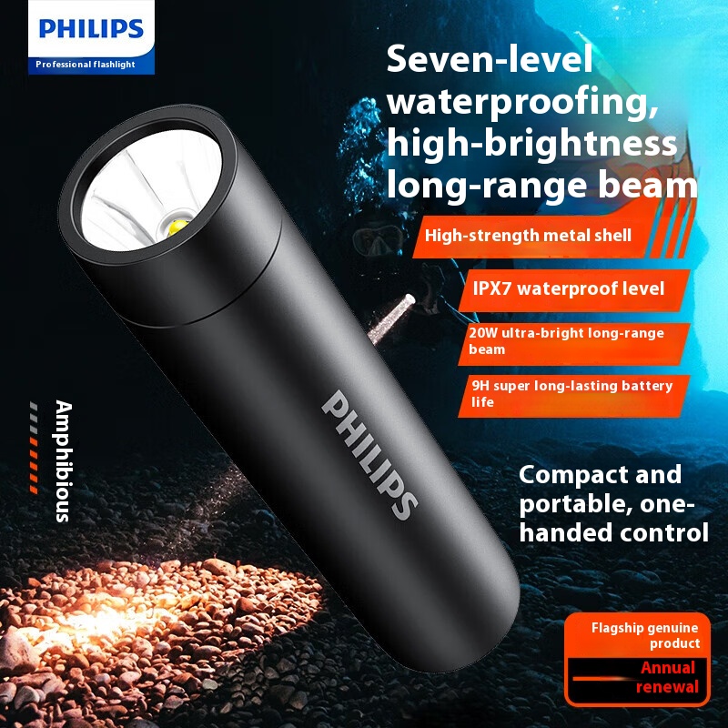 Philips New Flashlight High In - огляд і ціна Outdoor Lighting Philips